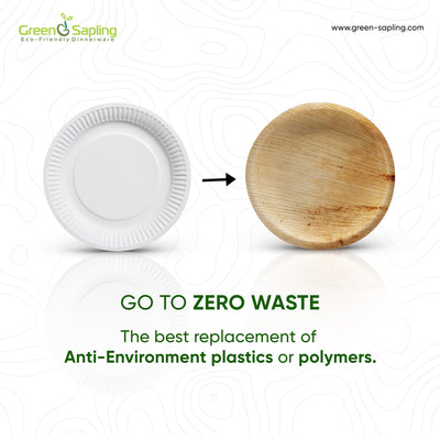 A Guide to Compostable Plates: Materials and the Correct Way to Dispose of Them