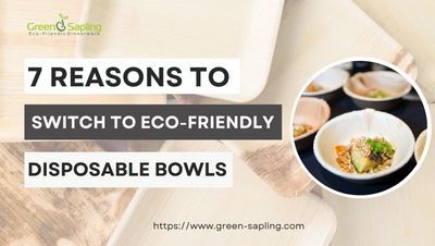 7 Reasons To Switch To Eco-Friendly Disposable Bowls IN 2024