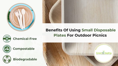 The Benefits Of Using Small Disposable Plates For Outdoor Picnics