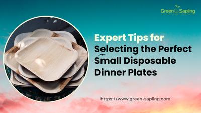 Expert Tips for Selecting the Perfect Small Disposable Dinner Plates