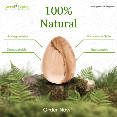 Help Nature to Revive - Start Your Journey with Biodegradable Cutlery