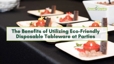 The Benefits of Utilizing Eco-Friendly Disposable Tableware at Parties