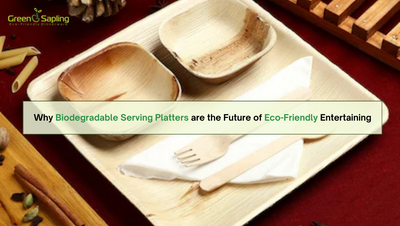 Embracing Sustainability: Why Biodegradable Serving Platters are the Future of Eco-Friendly Entertaining