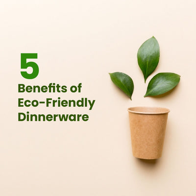 5 Benefits of Eco-Friendly Dinnerware