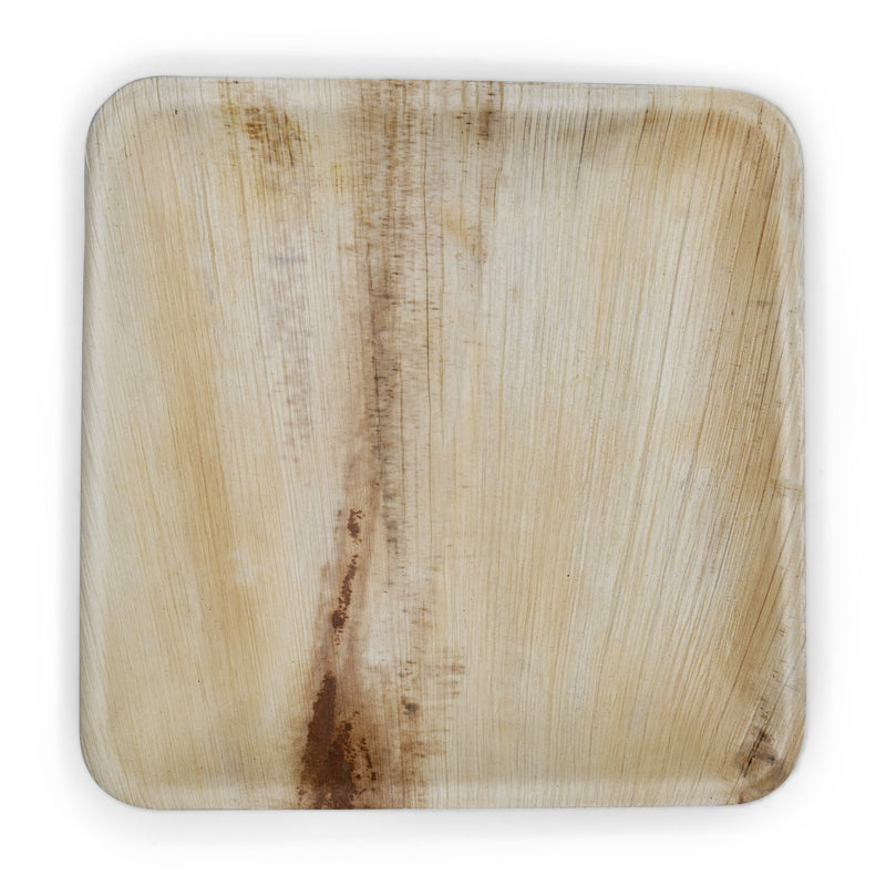9" Square Plate (Case)
